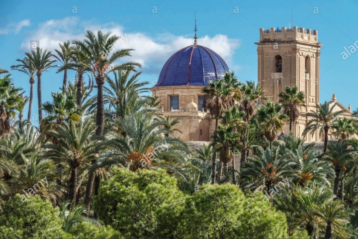 Elche