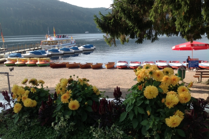 Sommer am See