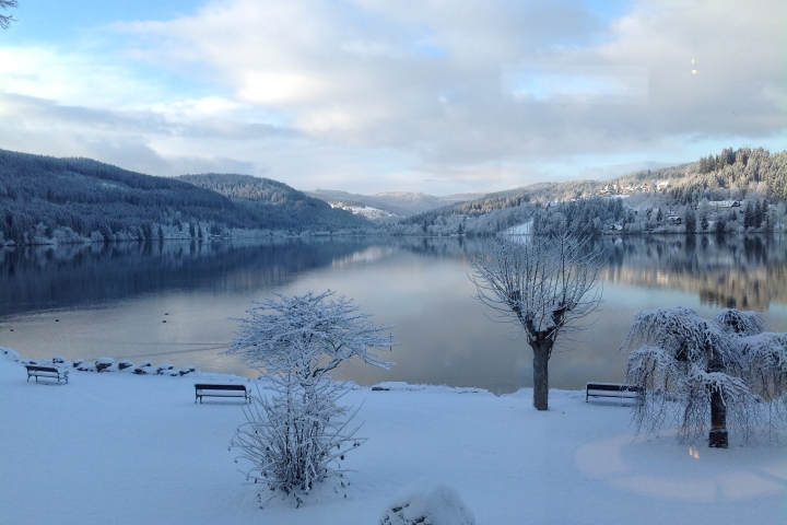 Winter Impression