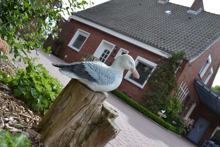 Möwe Emma beobachtet, ob alle richtig parken.