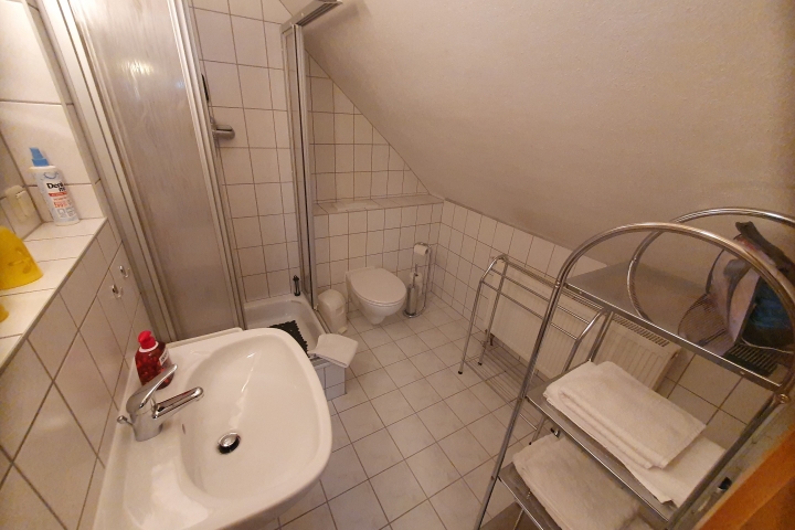 Bad mit Dusche/WC - Dachschräge (Wohnung 3)