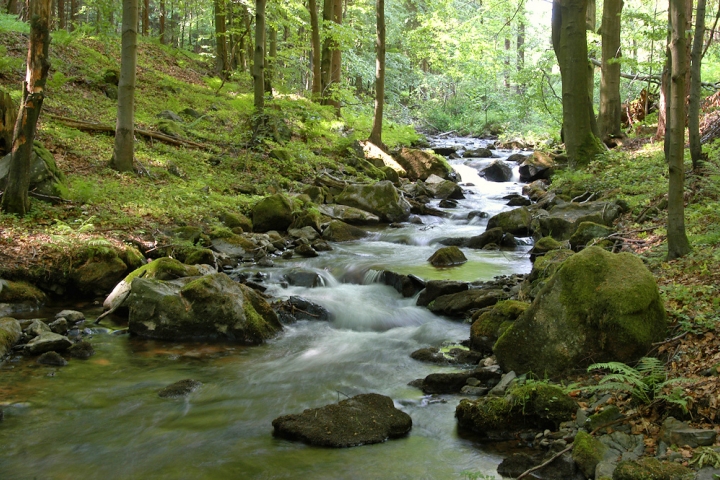 Gehlberg-Impressionen