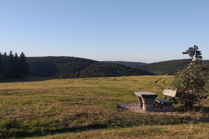 Wald und Wiese - Ruhe und Entspannung