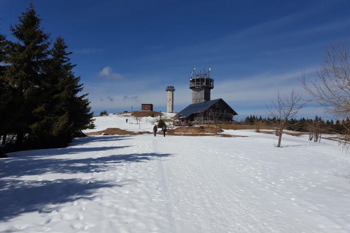 Schneekopf mit Schneekopfturm in Gehlberg (978-1001m ü.NN)