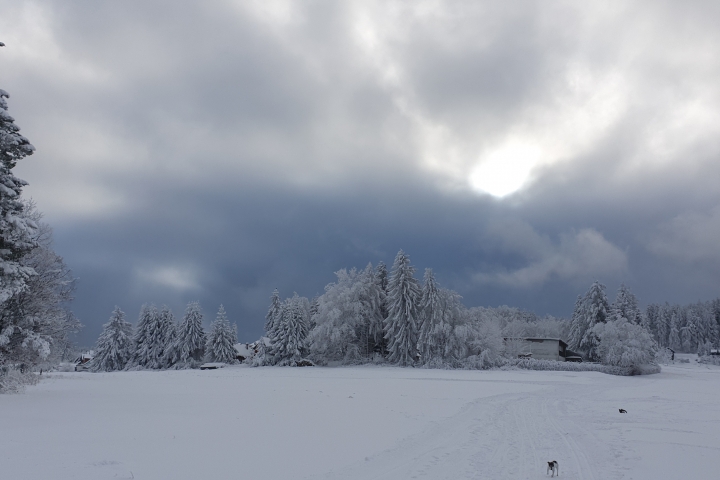 Wetter...