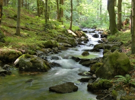 Gehlberg-Impressionen