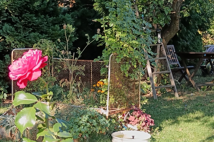 Garten der Ferienwohnung