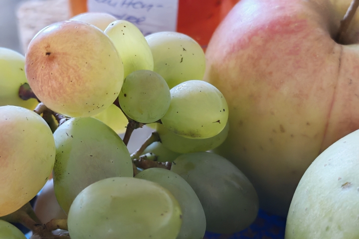 im Herbst Früchte aus dembGartenfür für die Gäste