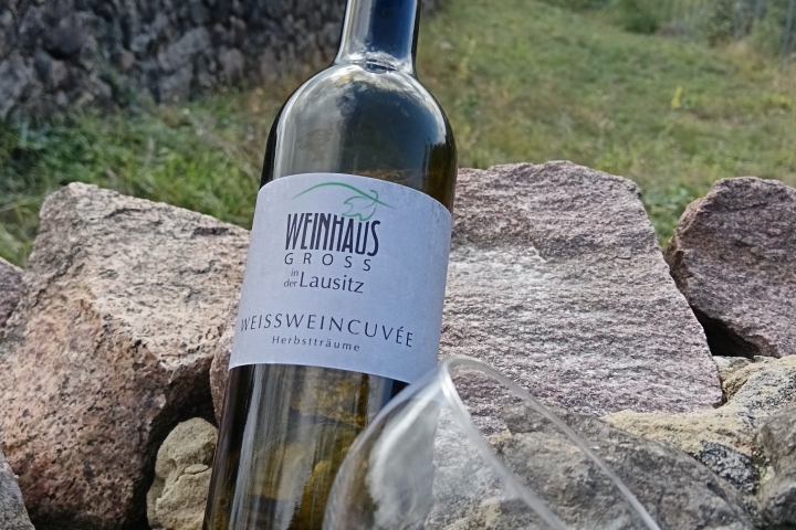 Weinwanderung in Radebeul Zitzschewig mit Weinproben