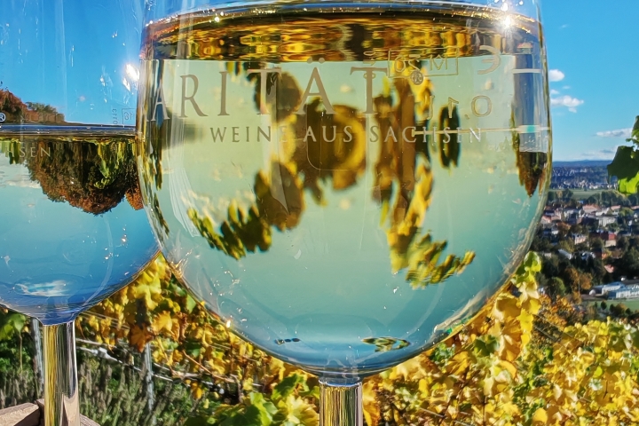 Sächsische Weine - Raritäten aus Sachsen