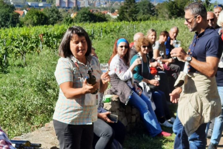 Weinwanderungen mit Marika Lang