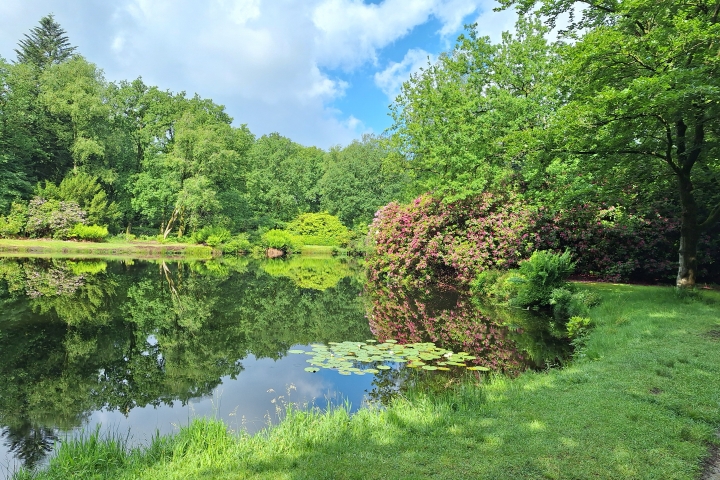 Schlosspark Lütetsburg