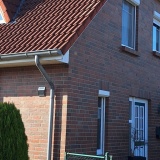 Mövennest