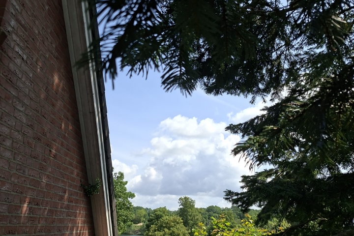 Blick von der Terrasse 