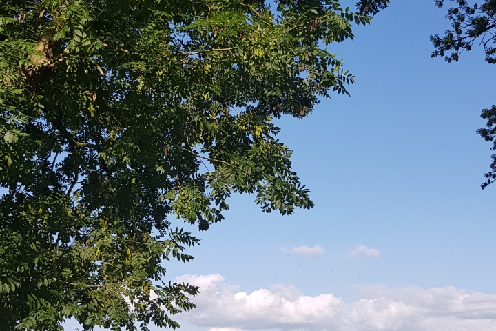 Badestrand mit Rader Hochbrücke im Hintergrund 