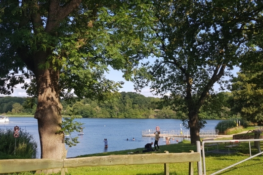 Eiderperle Eiderperle