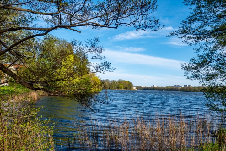 Wald See MV - Zeit für Familie | 