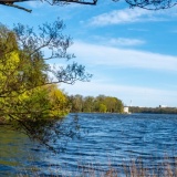 Wald See MV - Zeit für Familie