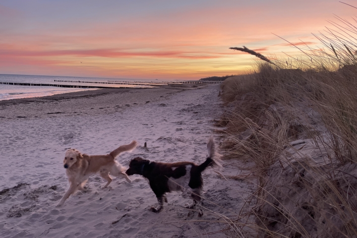 Frühmorgens am Strand
