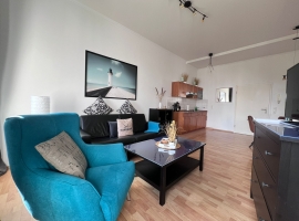 Wohnraum mit Leder-Schlafcouch und Blick zur Küche