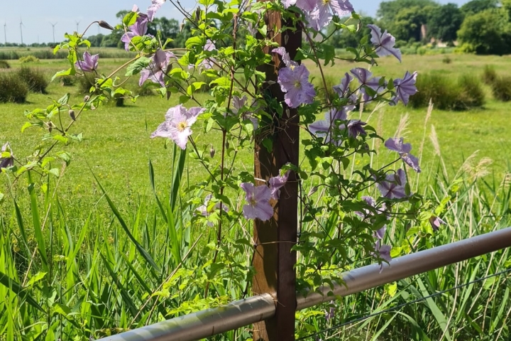 Toller Ausblick von der Terrasse 