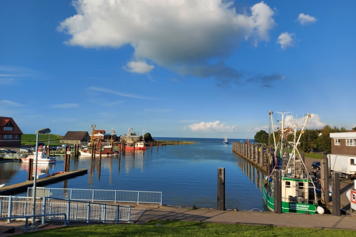 Kutterhafen - 3 Gehminuten entfernt, Nationalparkmuseum angrenzend