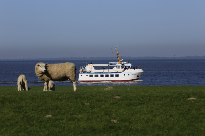 Ausflugsschiff Wega II