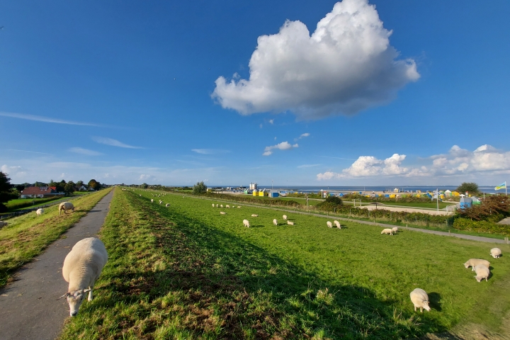 Rechts die Nordeelagune mit Meerwasser