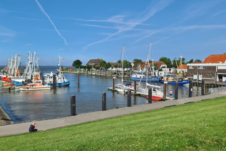 Kutterhafen mit Restaurants,  Fischladen und Fischimbissen, Ausflugsschiff Wega II und dem Nationalparkmuseum 