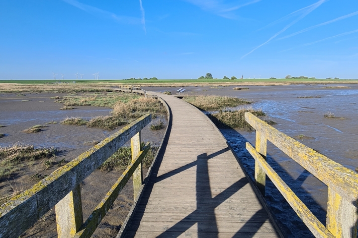 Der Langwarder Groden ist in wenigen Minuten zu Fuß zu erreichen