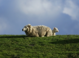 Mutter und Kind geniessen die Sonne auf dem Deich vorm Haus