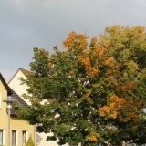 Ferienwohnung an der Kirche Woltersdorf