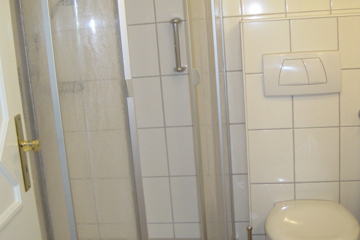 Dusche mit moderner Trennwand