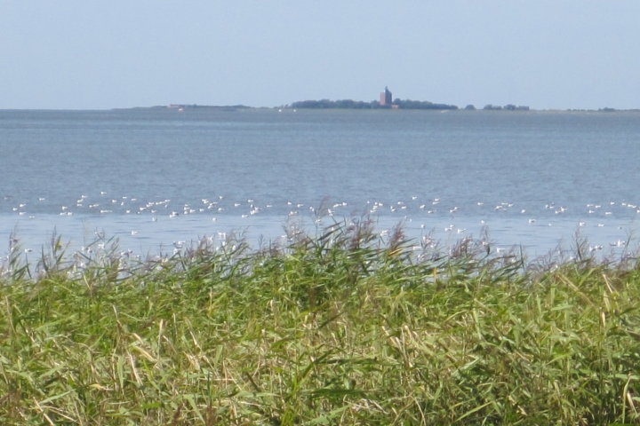 Blick auf die Insel Neuwerk