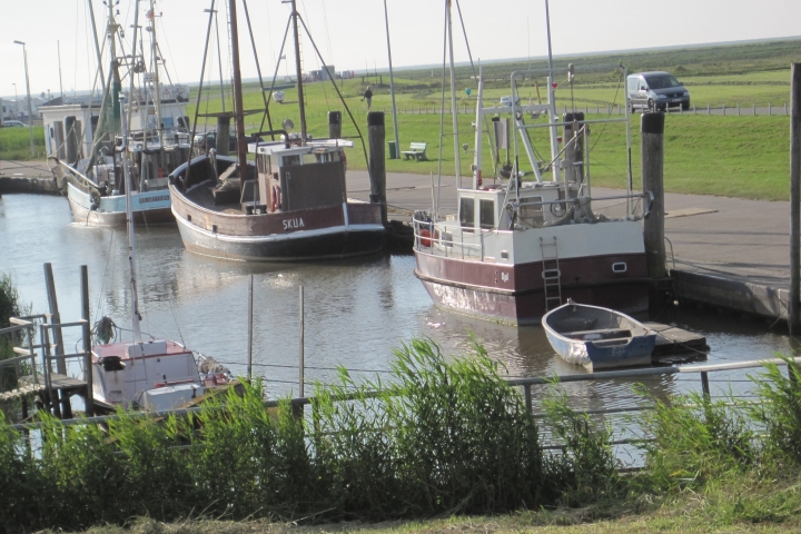 Idyllischer Hafen für Krabbenkutter und Sportboote
