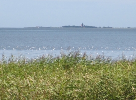 Blick auf die Insel Neuwerk