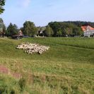 Ferienwohnung Steinfurth in St. Andreasberg